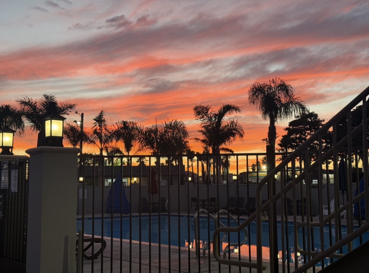 Submitted by Barbara Bartlett